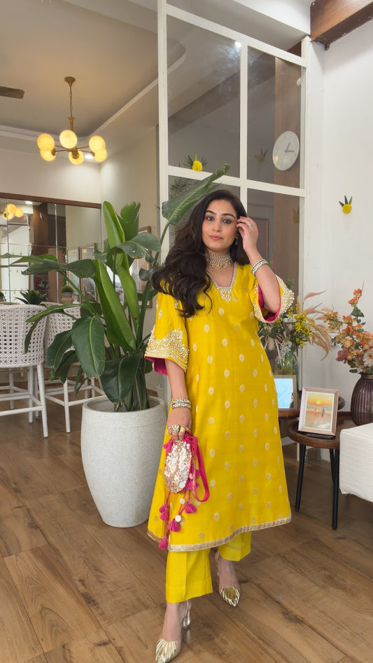 Banarasi silk with potli set