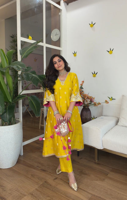 Banarasi silk with potli set