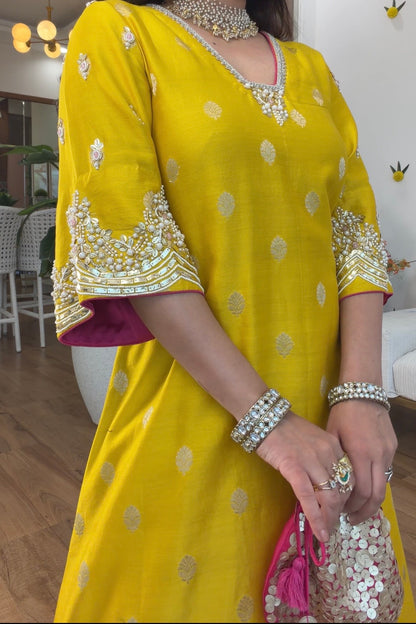 Banarasi silk with potli set