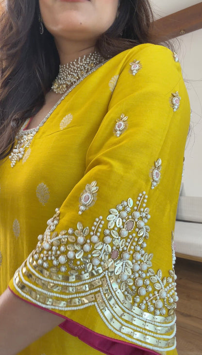 Banarasi silk with potli set