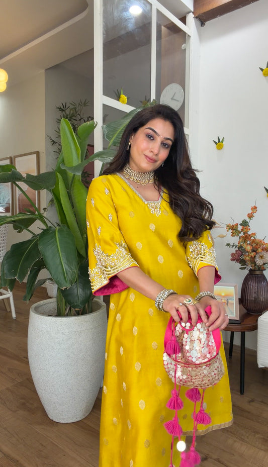 Banarasi silk with potli set