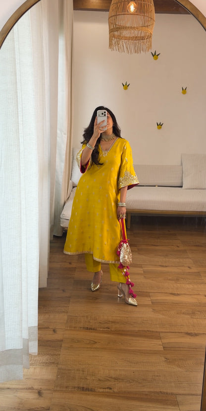 Banarasi silk with potli set