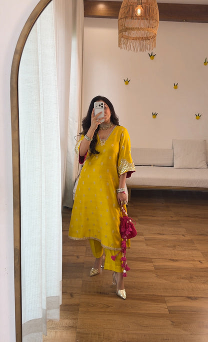 Banarasi silk with potli set