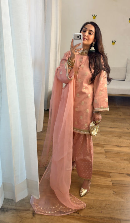 Banarasi tissue silk set