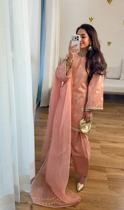 Banarasi tissue silk set