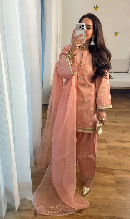 Banarasi tissue silk set