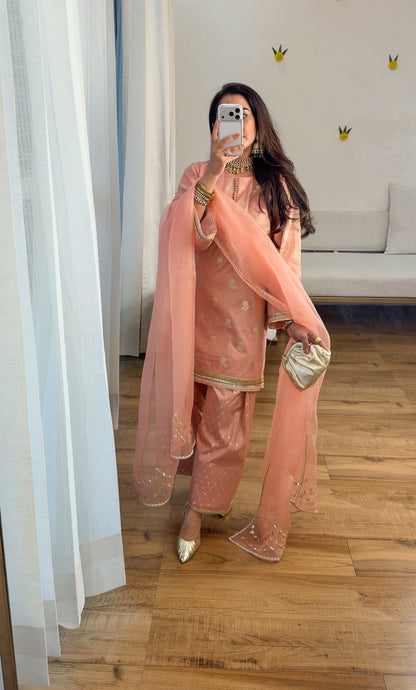 Banarasi tissue silk set