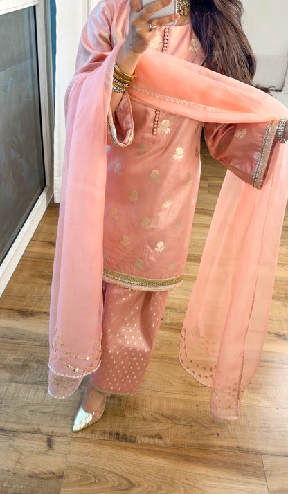 Banarasi tissue silk set