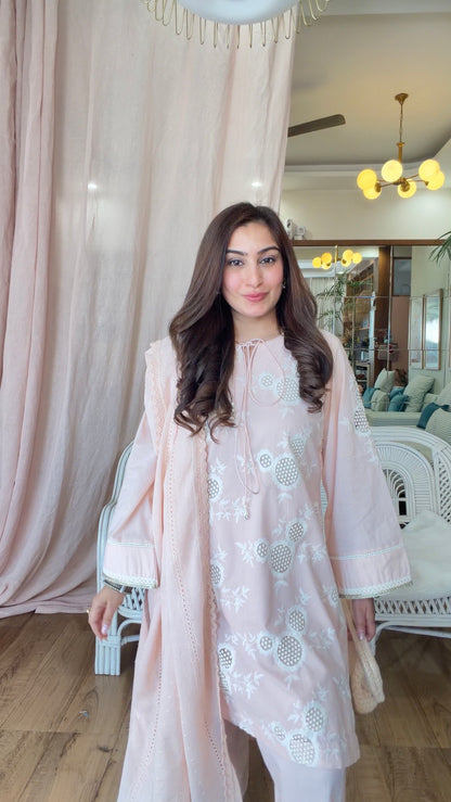 BLUSH PINK CUTWORK SET