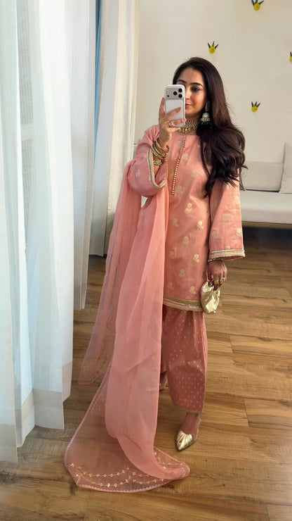 Banarasi tissue silk set